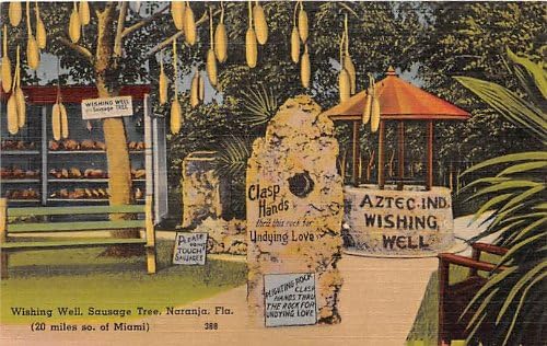 Razgledna razglednica Naranja, Florida