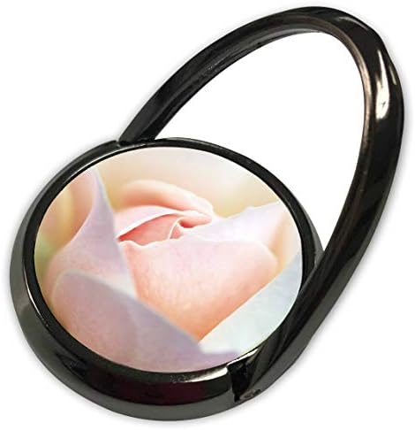 3Drose Stamp City - Cvijeće - Makro fotografija središta ruže St. Tropz u cvatu. - Telefon